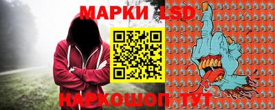 Альфа ПВП Гатчина