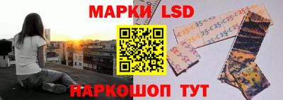индика Гусь-Хрустальный