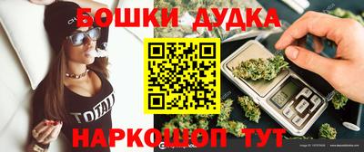 Альфа ПВП Гатчина