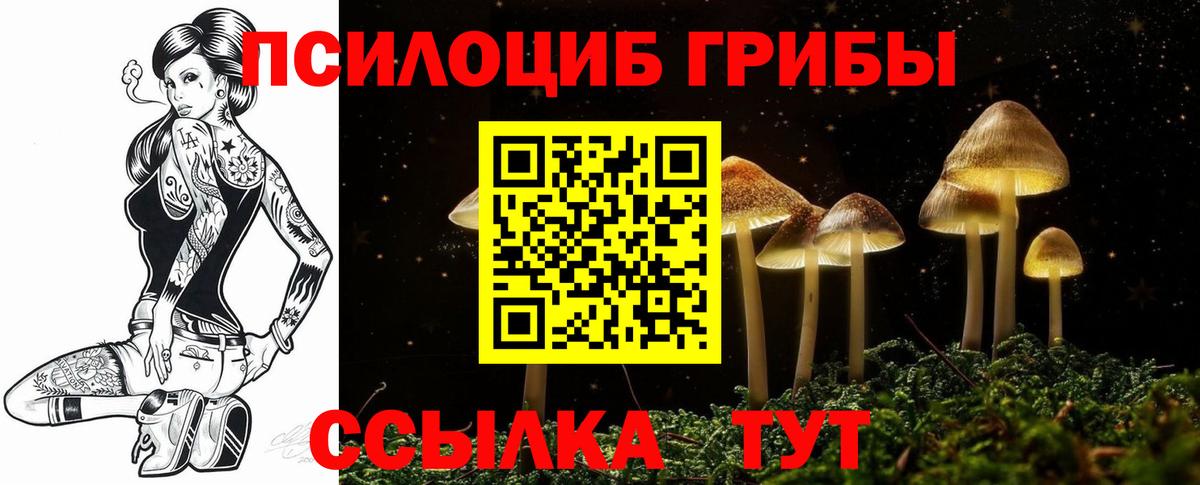 Мытищи  Галлюциногенные грибы Cubensis  Вход с VPN  Галлюциногенные грибы Psilocybe 