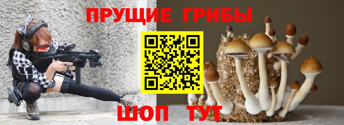 Псилоцибиновые грибы MAGIC MUSHROOMS Мытищи