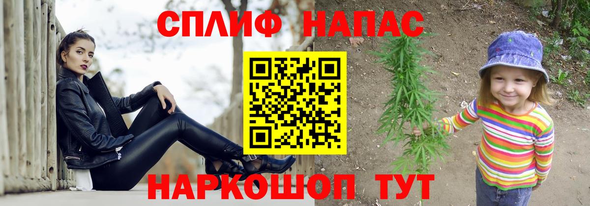 Канабис конопля  Бошки марихуана план  Мытищи  Вход с VPN  Бошки марихуана Bruce Banner 